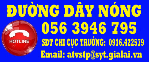 Đường dây nóng chi cục